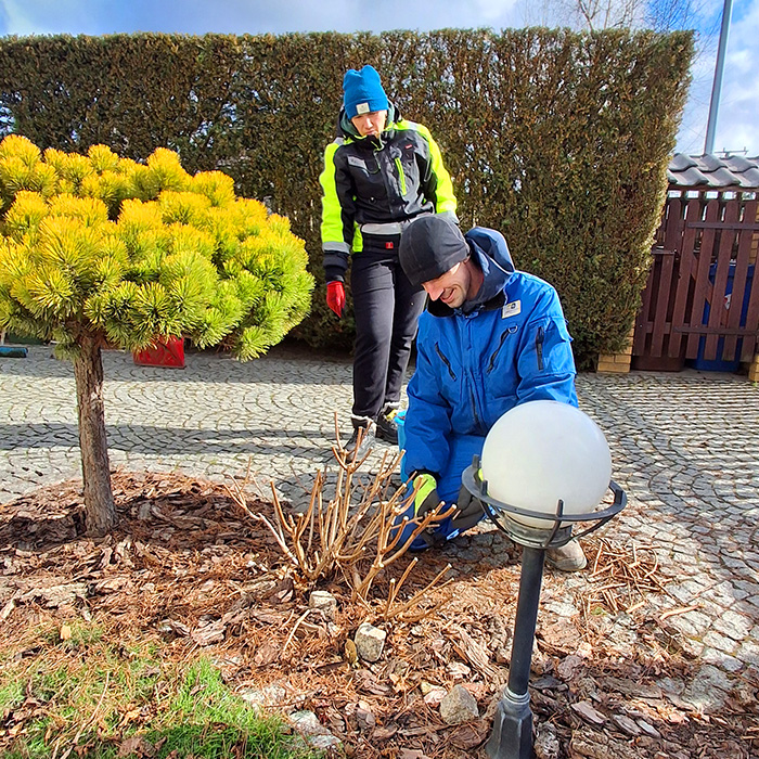 Projektowanie ogrodów