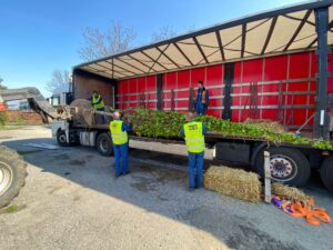 Roboty budowlane ogrodnicze