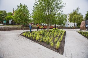 Usługi ogrodnicze w parku