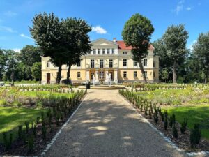 Usługi ogrodnicze w parku