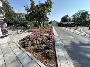 Usługi ogrodnicze w parku