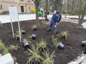 Usługi ogrodnicze w parku