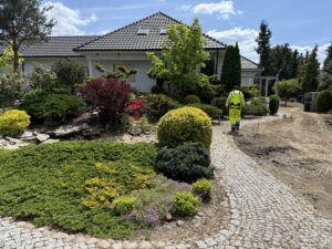 Usługi ogrodnicze u klienta w ogrodzie w Kaliszu
