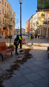 Usługi utrzymania czystości w miastach