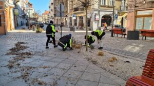 Usługi utrzymania czystości w miastach