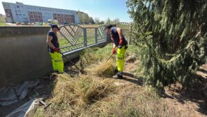 Usługi utrzymania czystości w miastach