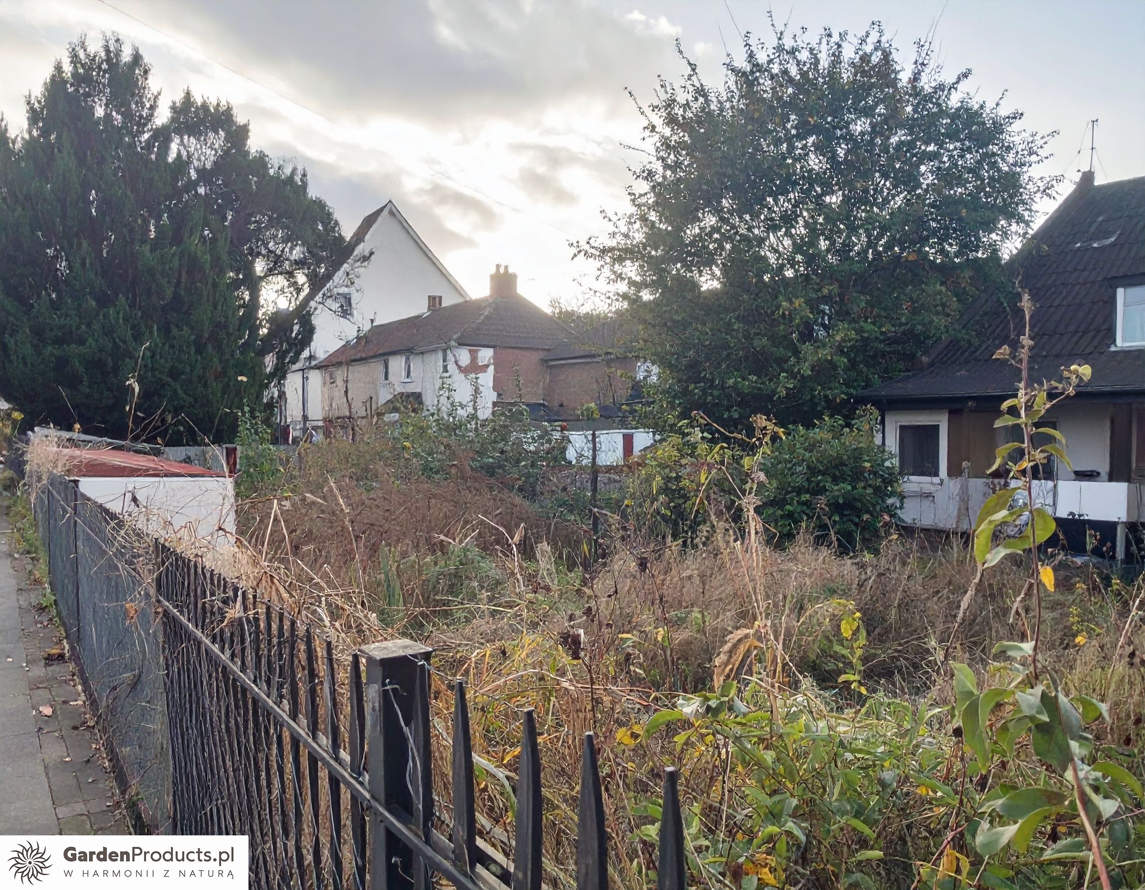 Zaniedbany ogród