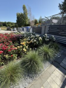 Rośliny na działce - sadzenie