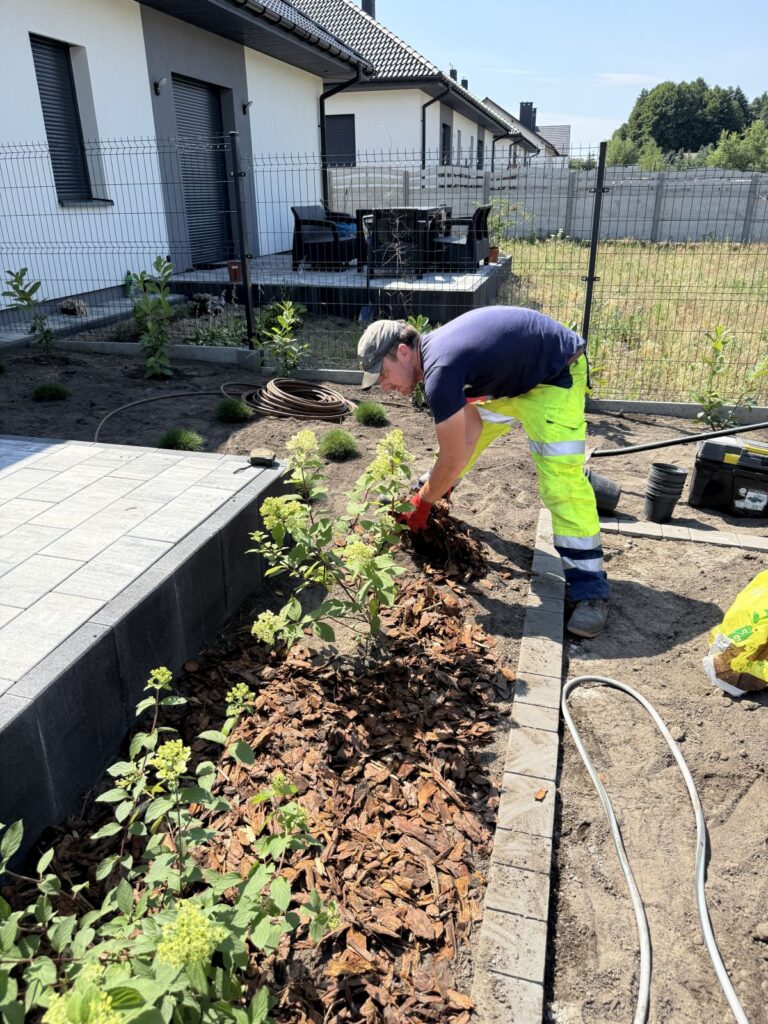 Sadzenie roślin u klienta - usługa