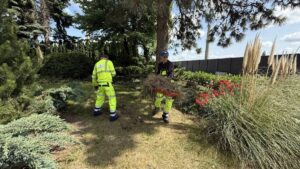 Pielęgnacja roślin