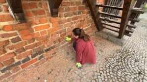 Prace konserwatorskie przy murach baszta Dorotka w Kaliszu